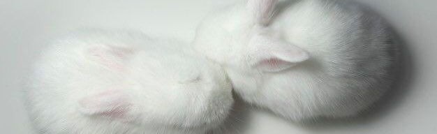 serendipity Discord Server Banner