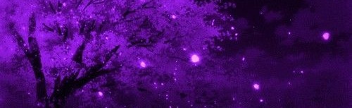 Sakuramoon Secrets・social・val Discord Server Banner