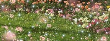 〖 良 〗⤿ asterism ᝢ ❀ Discord Server Banner