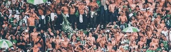 Wplace Atlético Nacional Discord Server Banner