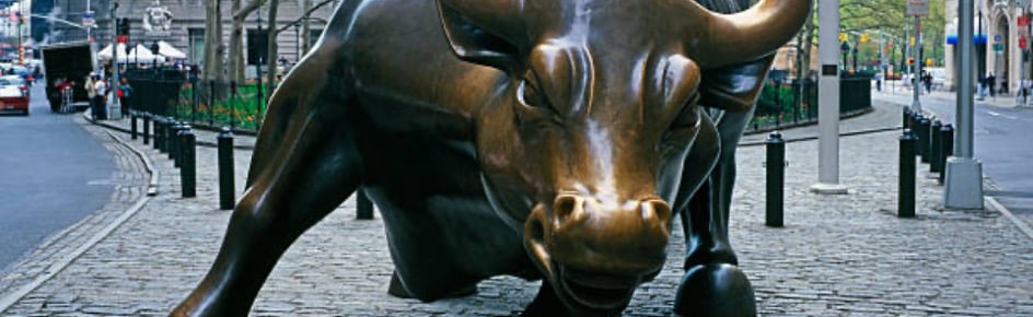 NO BS BULLS Discord Server Banner