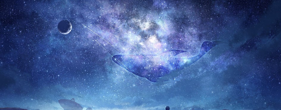 Tomiokas Community sever Discord Server Banner