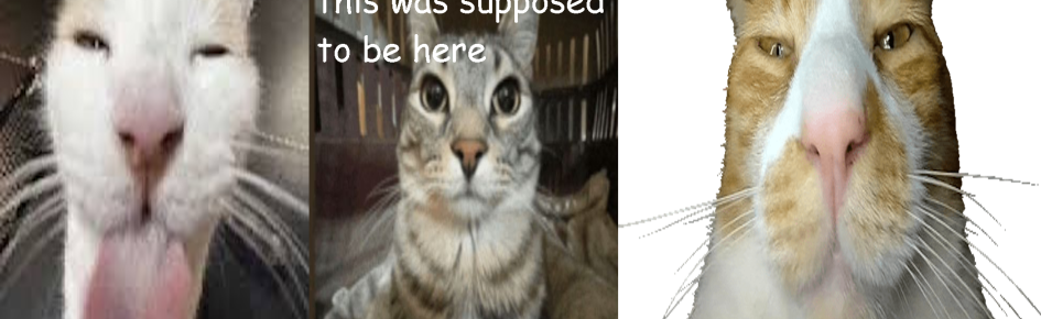 the snoobert empire Discord Server Banner