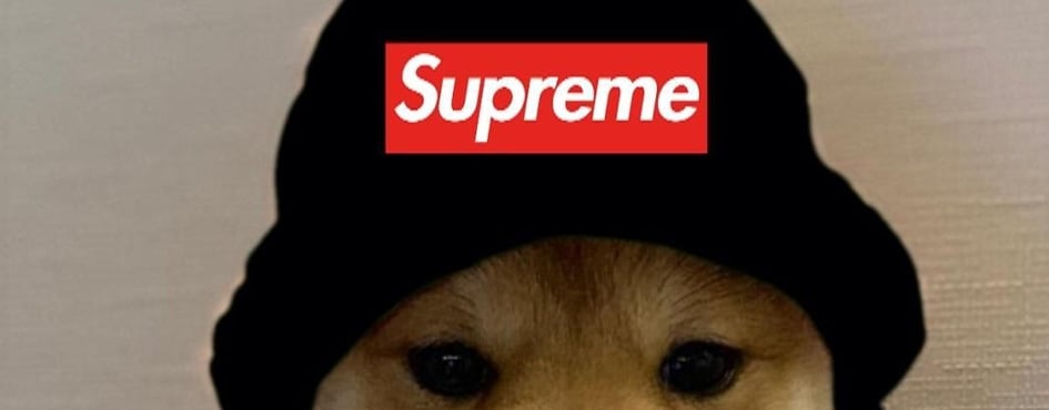 The  RkA/Monk Gang Discord Server Banner