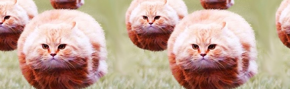 Chilling dudes Discord Server Banner