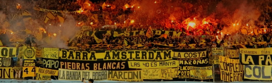 Pixel Peñarol79 Discord Server Banner