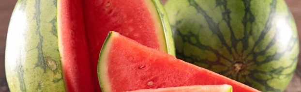 Watermelon Kingdom (Ro ghoul ) Discord Server Banner