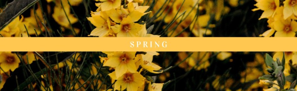 Sweet Serendipity ; ERP 18+ Discord Server Banner