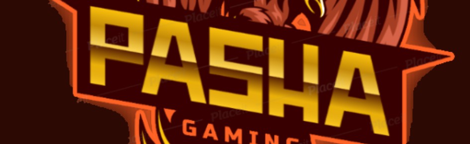 「Pasha Gaming」 Discord Server Banner