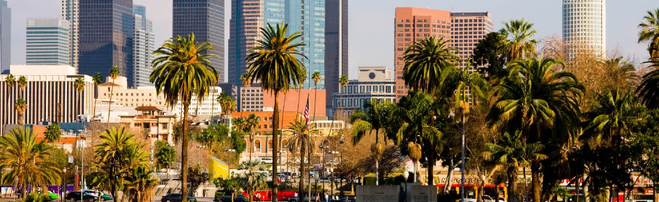 Lip Service (18+) Discord Server Banner