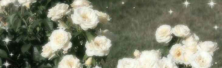 Tranquil Garden Discord Server Banner