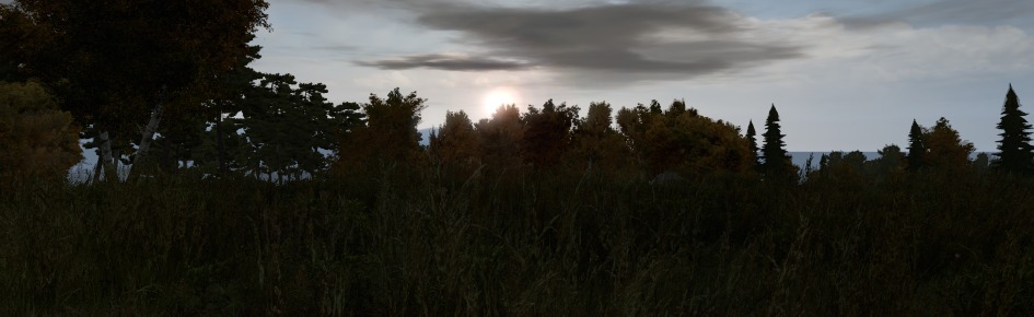 DayZ Europa (DayZ Mod) Discord Server Banner