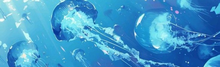 VidaKation Discord Server Banner