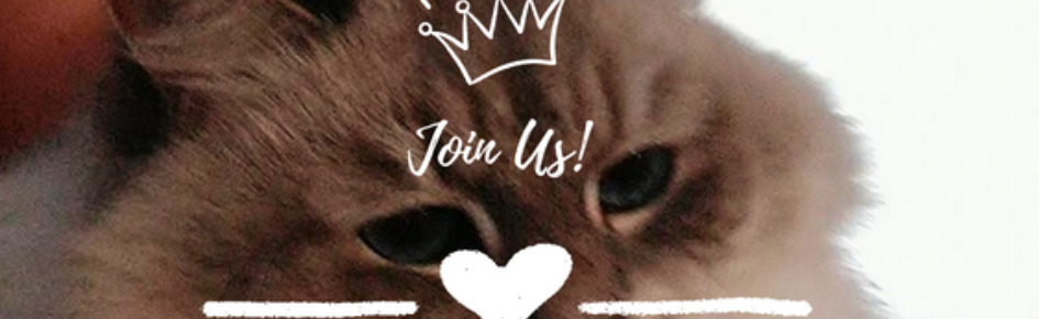 Lahna's Shack Discord Server Banner