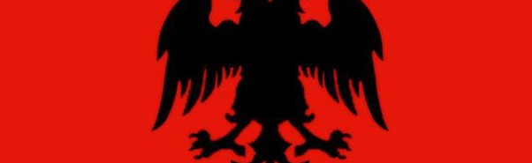 AlbaniaPM Discord Server Banner