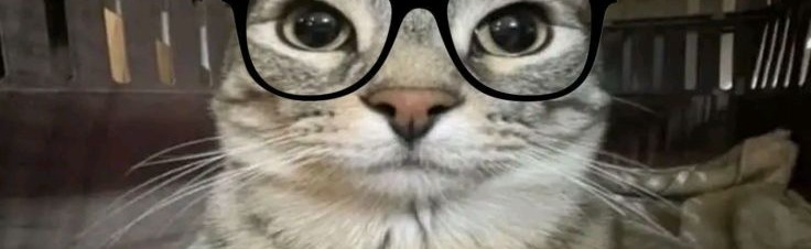 Firezone Community Discord Server Banner