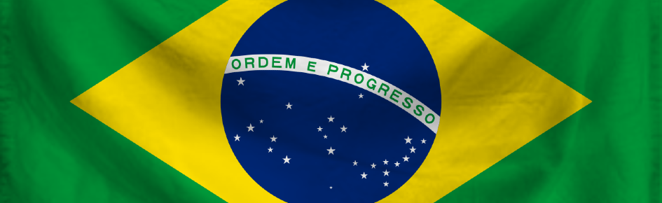 BLOX BRASIL Discord Server Banner