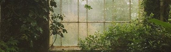 Rainy Days 18+ Discord Server Banner