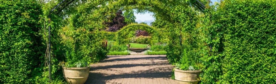 The Garden Of Lust 18+ Discord Server Banner