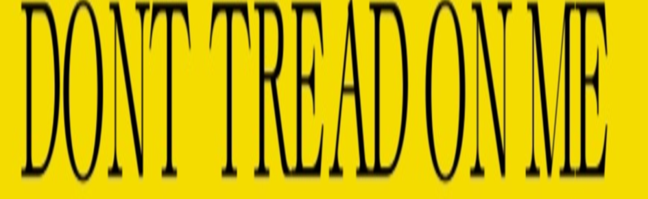 The Unionists Discord Server Banner