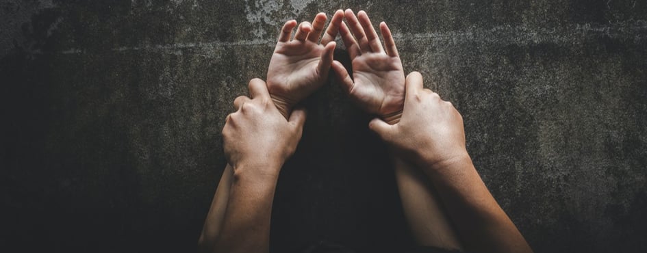 Primal Penthouse Discord Server Banner