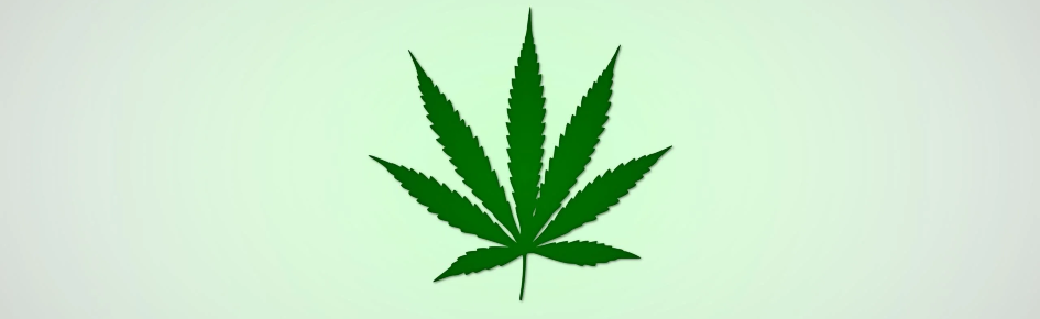 r/maconha Discord Server Banner