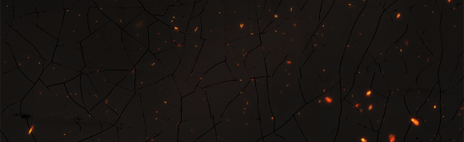 Middleman Discord Server Banner