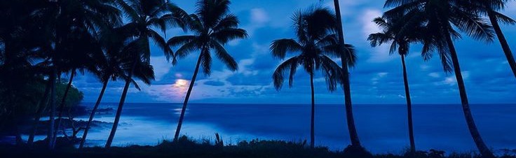 Serene Spot ™ 🧸 Discord Server Banner