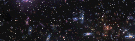 Academia Omnithought Discord Server Banner