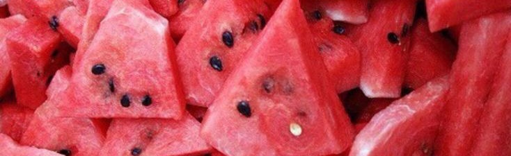 The Watermelon Community Discord Server Banner