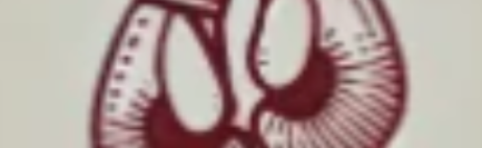 Undisputed Discord Server Banner