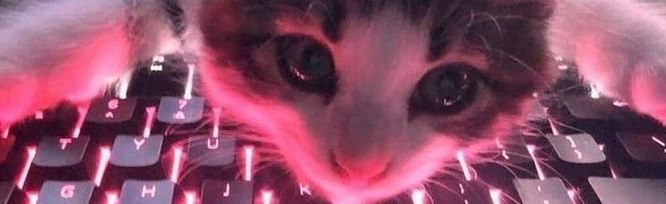 Amix Discord Server Banner