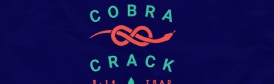 Cobra Crack Discord Server Banner