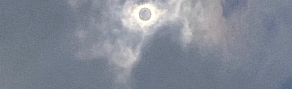 MuseumOfMonstrosities Discord Server Banner