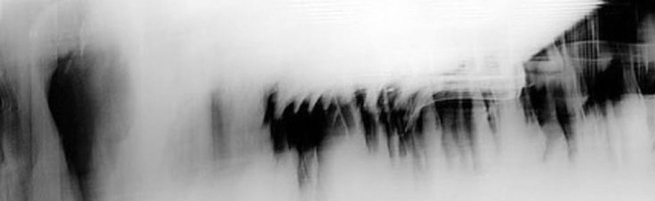 𝑩𝒍𝒐𝒐𝒎𝒆𝒓𝒔⋅˚†₊˖ ࣪♱ Discord Server Banner