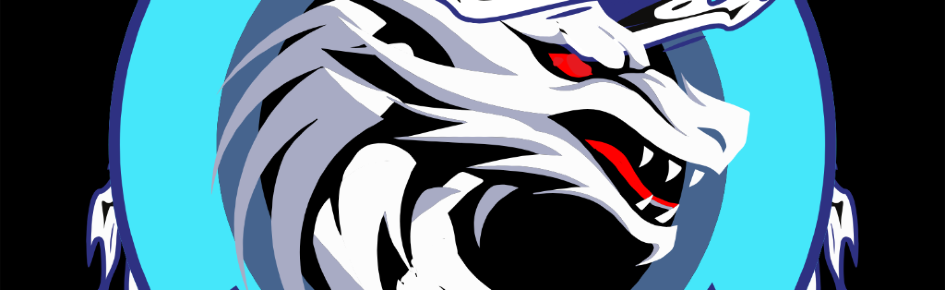 Dragons PbuX Discord Server Banner