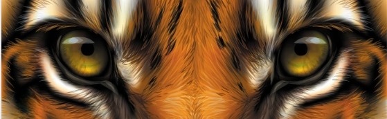 EA College Football 25 Discord Server Banner