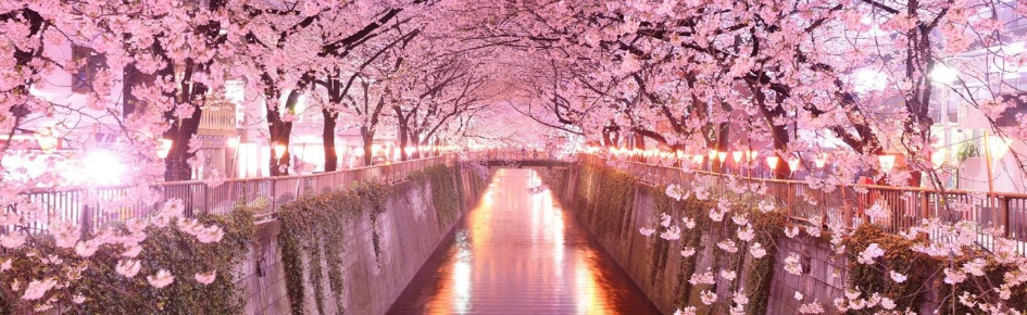 Underground Cyber Club Discord Server Banner