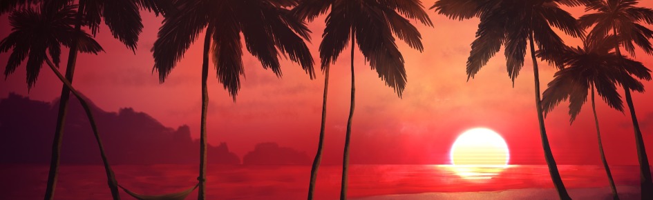 Euphoria Discord Server Banner