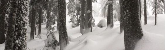 progression Discord Server Banner