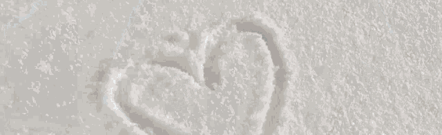 Hunter River Discord Server Banner