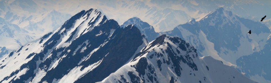 Frost Expeditions Discord Server Banner