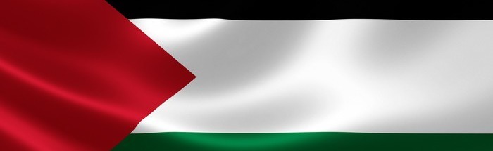 ☪| 𝐏𝐚𝐥𝐞𝐬𝐭𝐢𝐧𝐞𝐏𝐌 |☪ Discord Server Banner