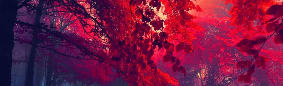 4 Horsemen Discord Server Banner