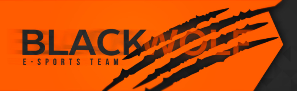 Black Wolf e-Sport Team Discord Server Banner