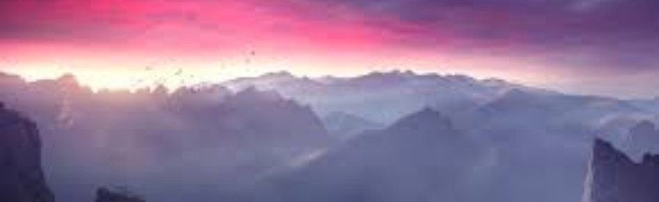 The Havens Discord Server Banner