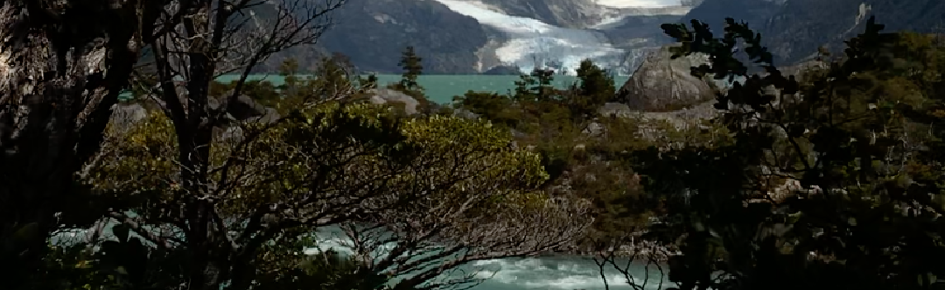 Kolor Discord Server Banner