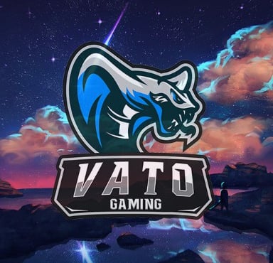 Vatogaming Community Discord Server Banner