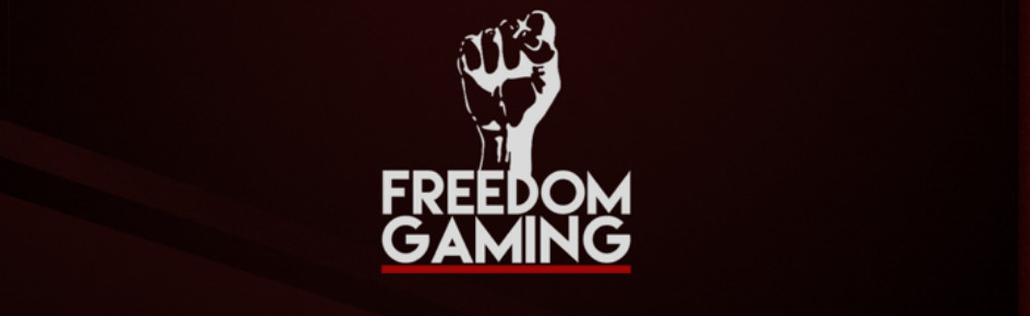 Freedom Gaming Discord Server Banner