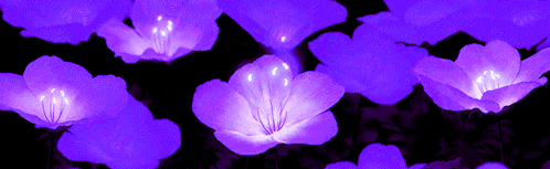 陰霾﹒haze Discord Server Banner